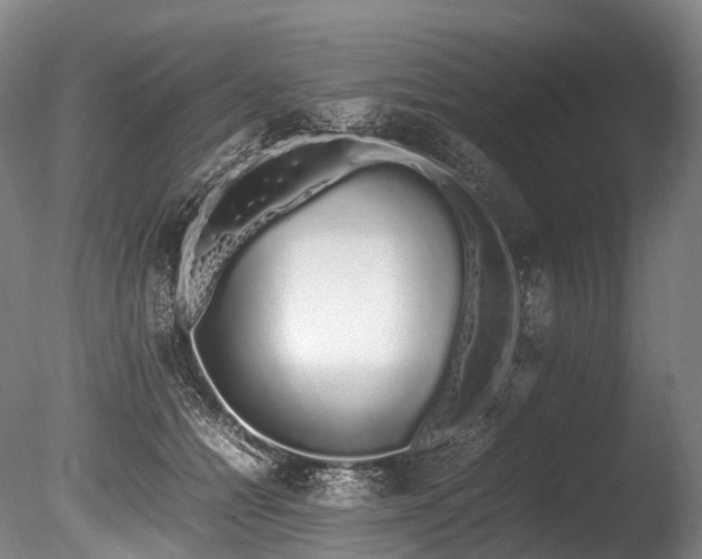 X0000086110558200703231504