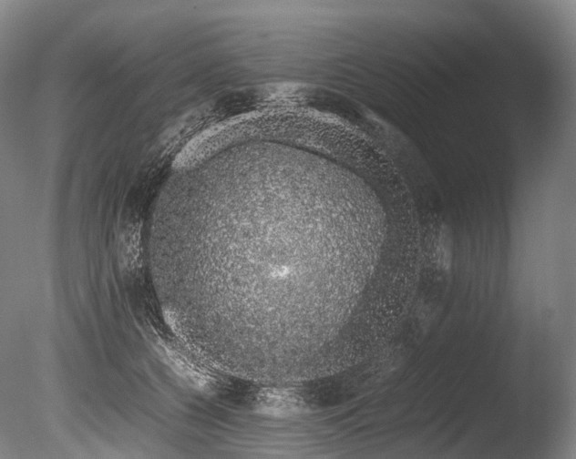 X0000086110560200703231504