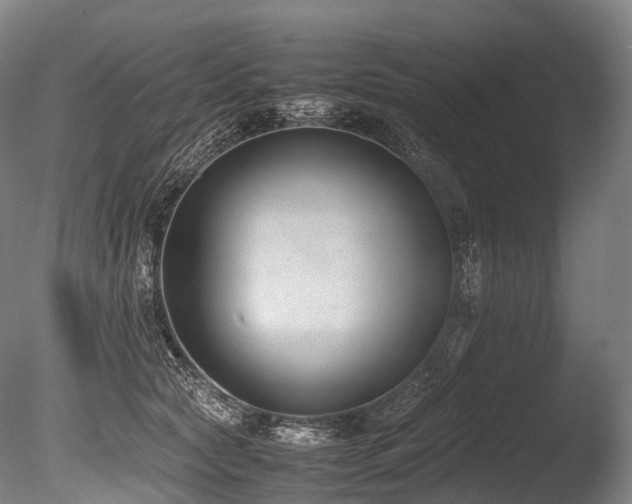 X0000086110561200703231504