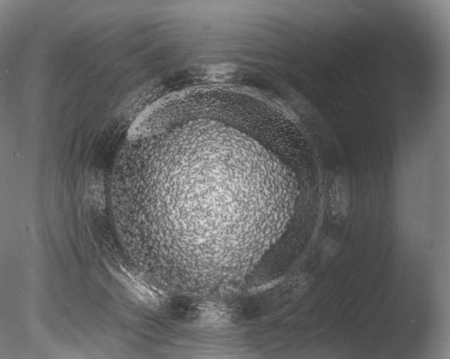 X0000086110562200703231504