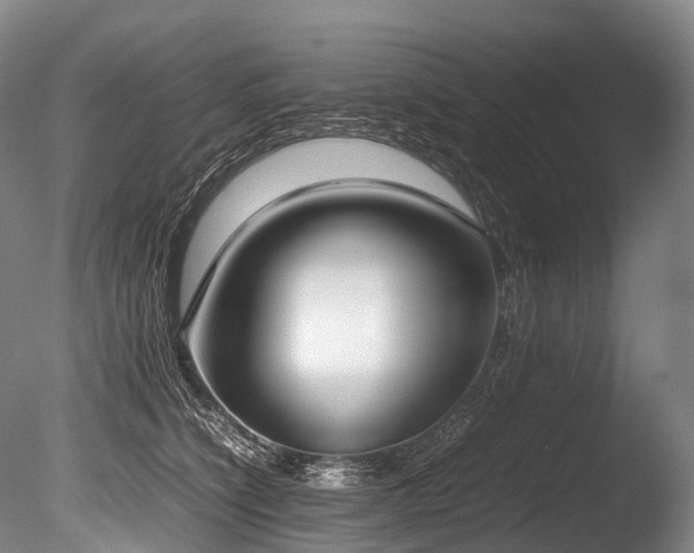 X0000086110564200703231504