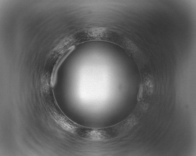 X0000086110566200703231504