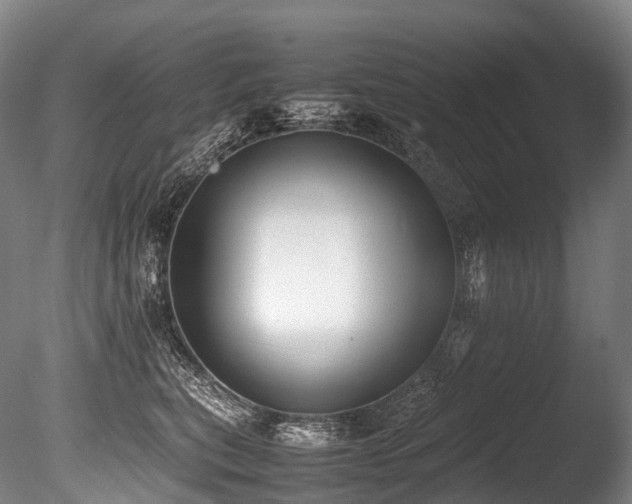 X0000086110567200703231504
