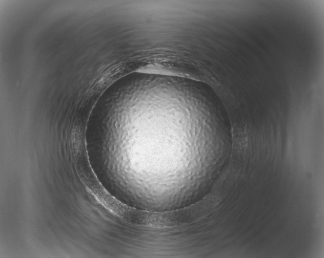 X0000086110568200703231504