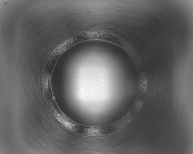X0000086110574200703231504