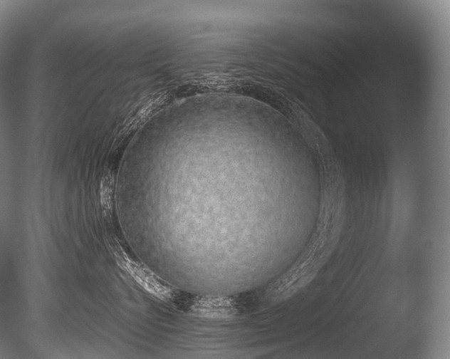 X0000086110576200703231504