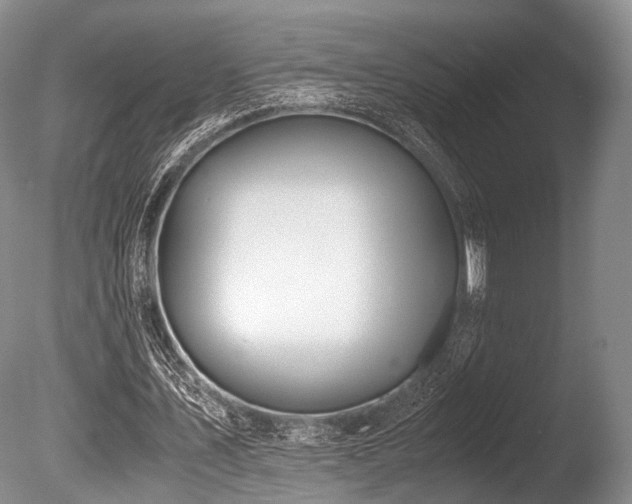 X0000086110579200703231504