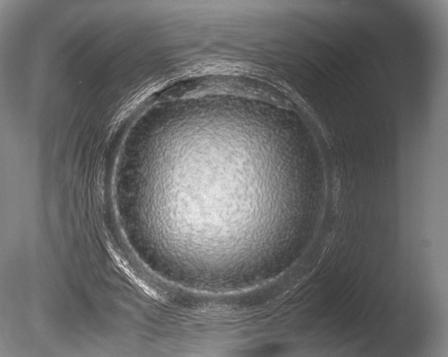 X0000086110581200703231503
