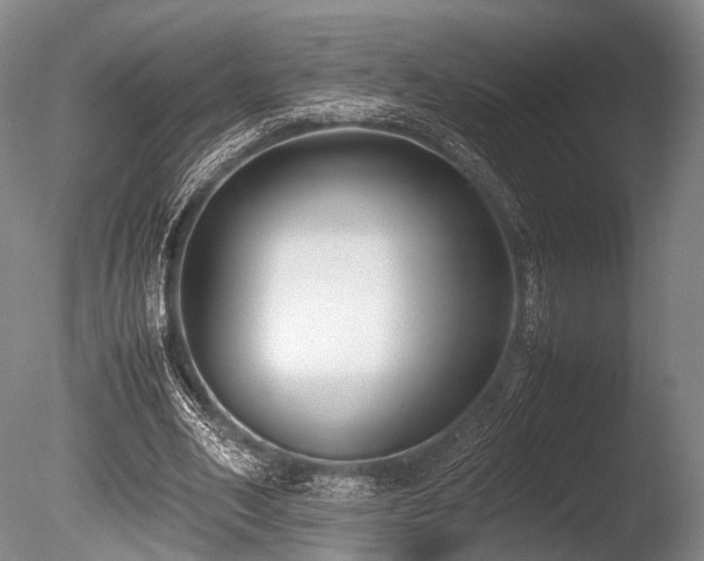X0000086110582200703231503