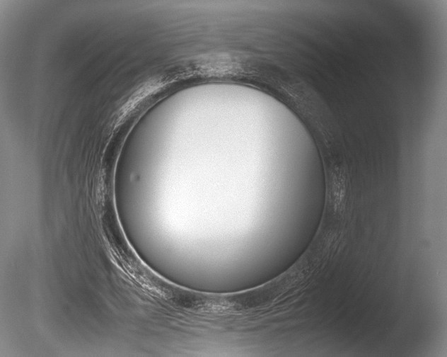 X0000086110583200703231503