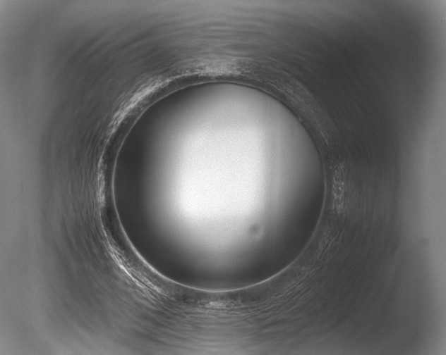X0000086110584200703231503
