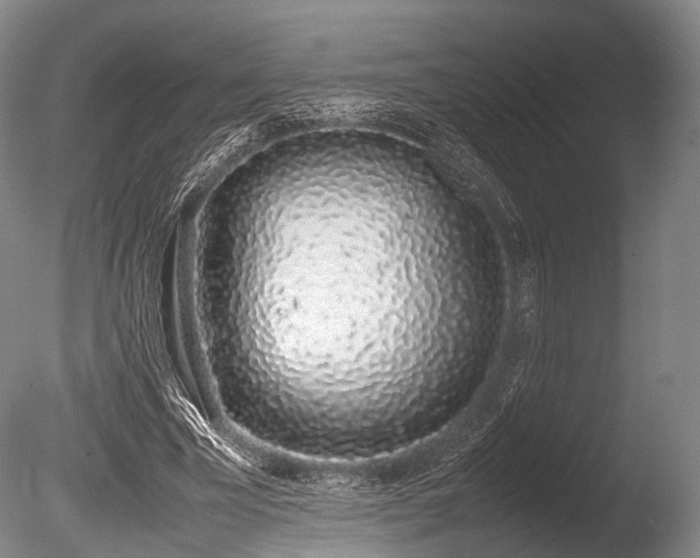 X0000086110585200703231503