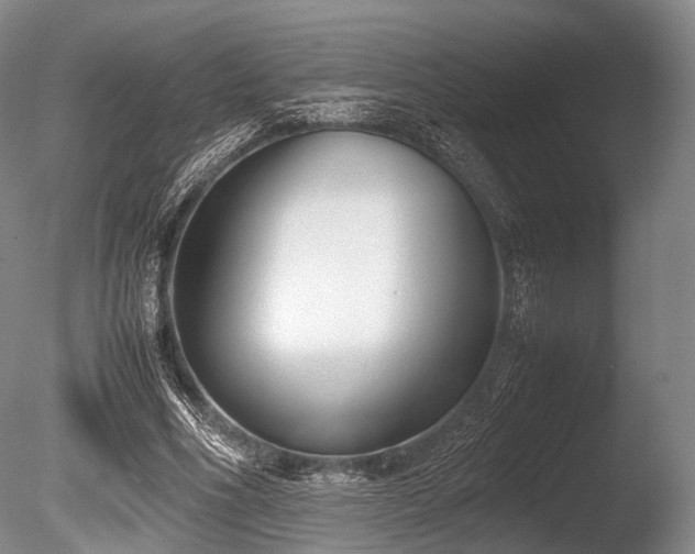 X0000086110586200703231503