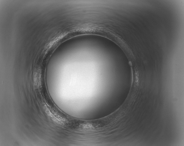X0000086110588200703231503