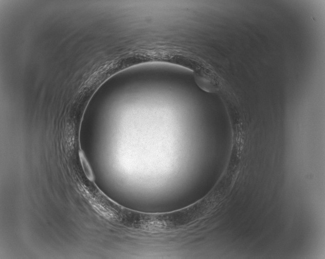 X0000086110593200703231503