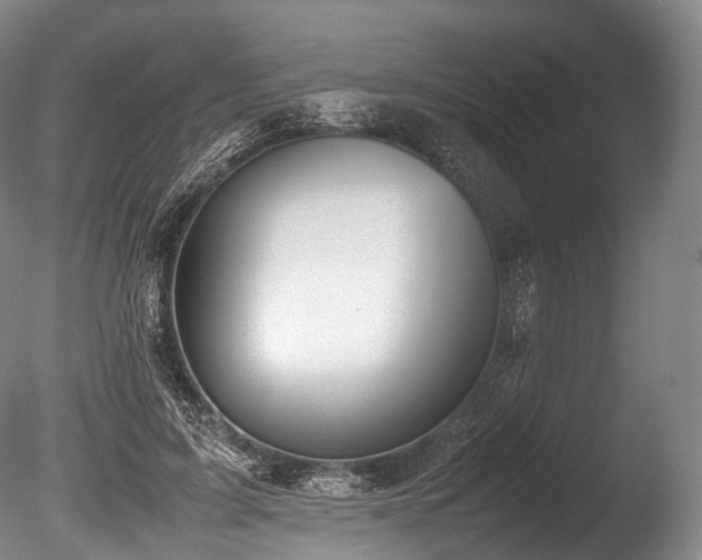 X0000086110595200703231503