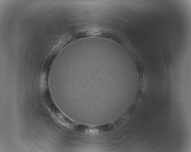 X0000086110598200703231503