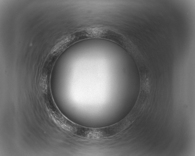 X0000086110599200703231503