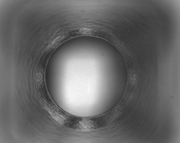 X0000086110603200703231503