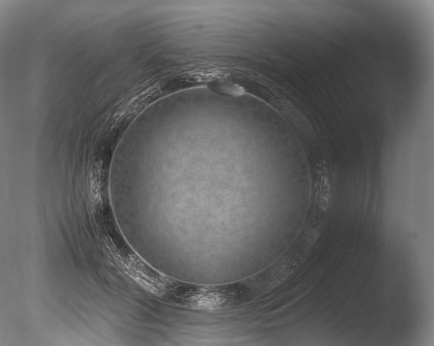 X0000086110604200703231503