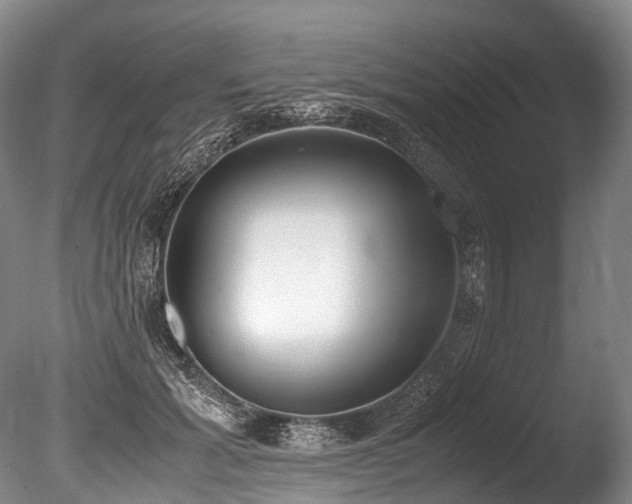 X0000086110605200703231503