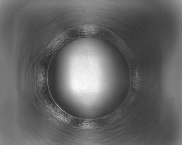 X0000086110608200703231503