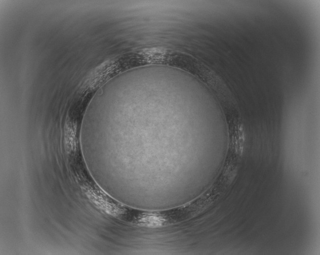 X0000086110610200703231503