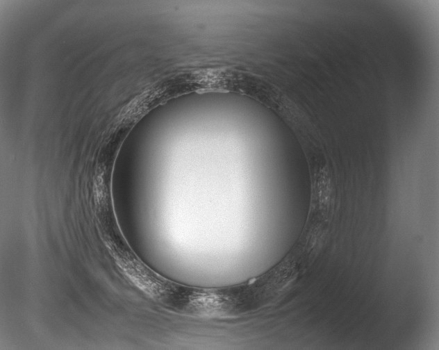 X0000086110611200703231503