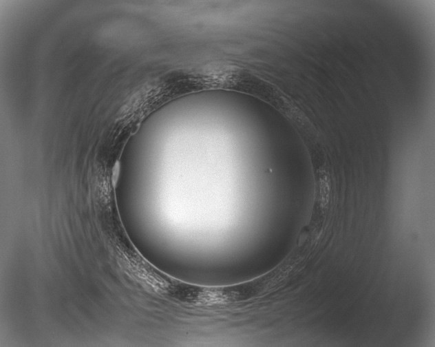 X0000086110613200703231503