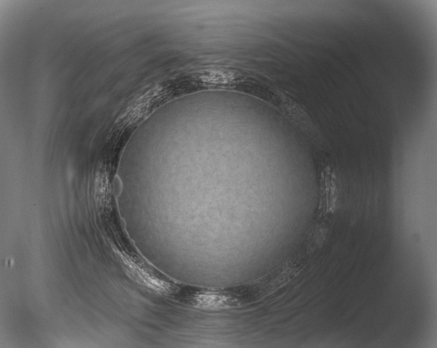 X0000086110614200703231503