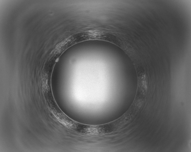 X0000086110615200703231503