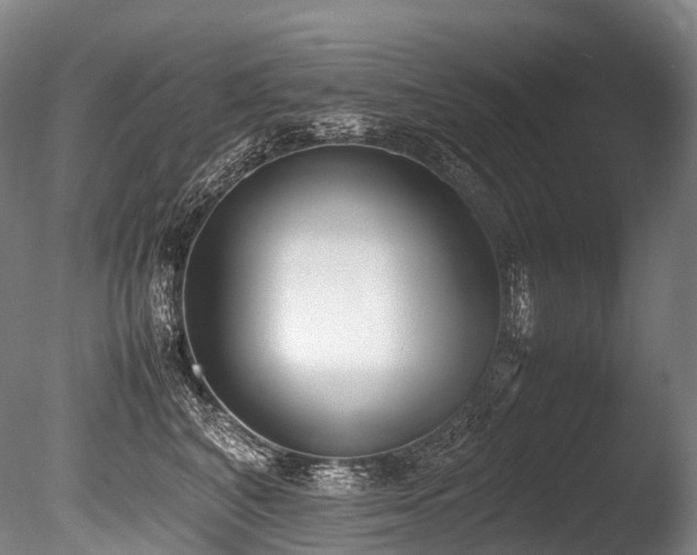 X0000086110616200703231503
