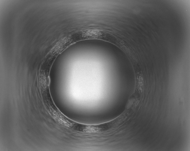 X0000086110617200703231503