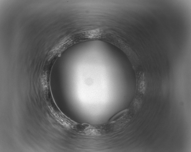 X0000086110620200703231503