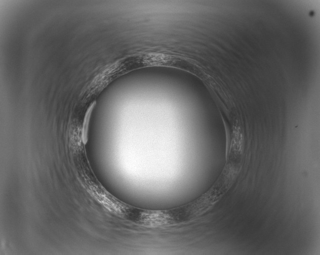 X0000086110621200703231503