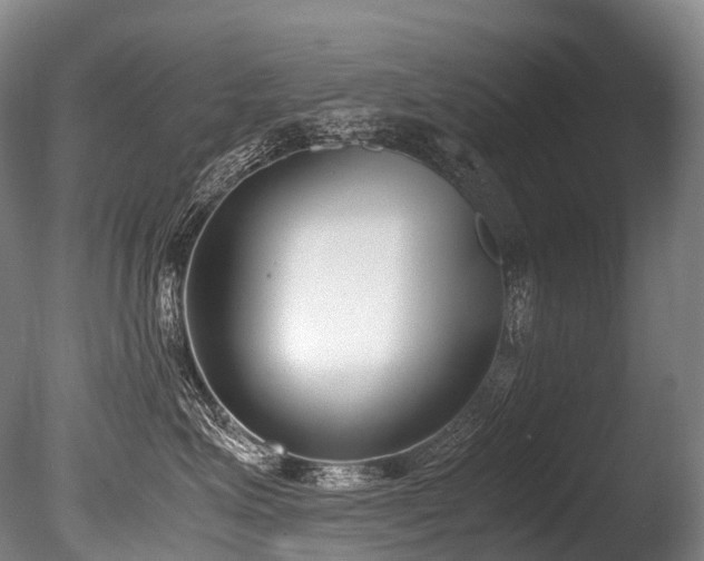 X0000086110623200703231503