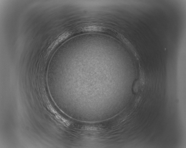 X0000086110625200703231502