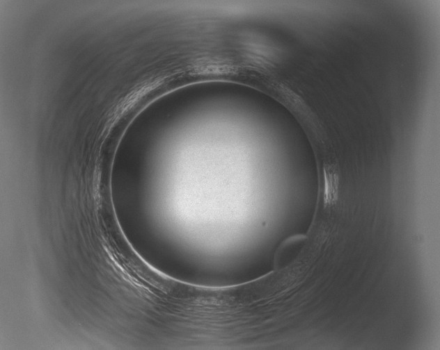X0000086110627200703231502
