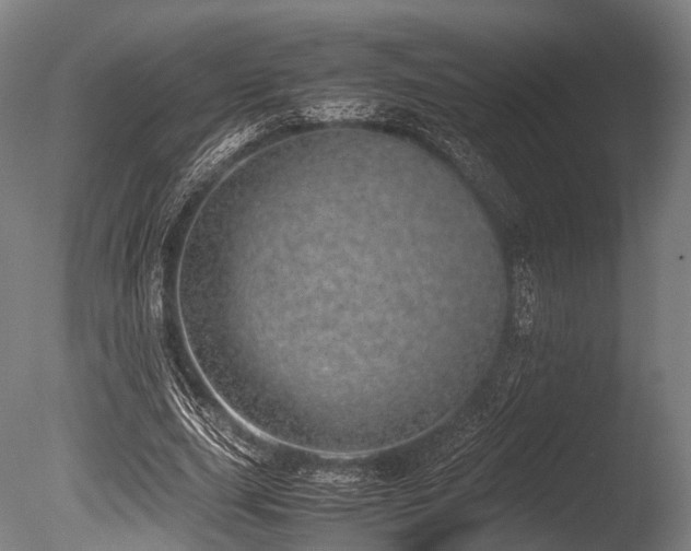 X0000086110631200703231502