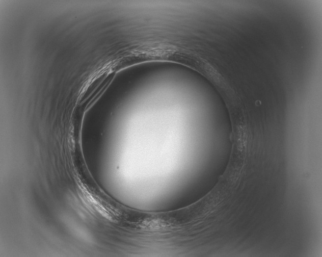 X0000086110634200703231502