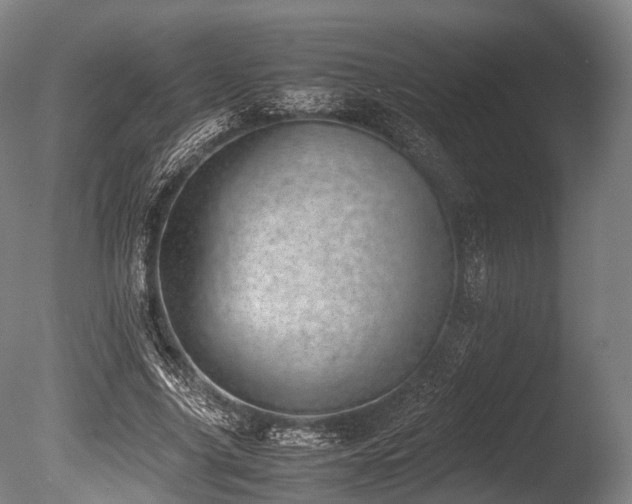 X0000086110635200703231502