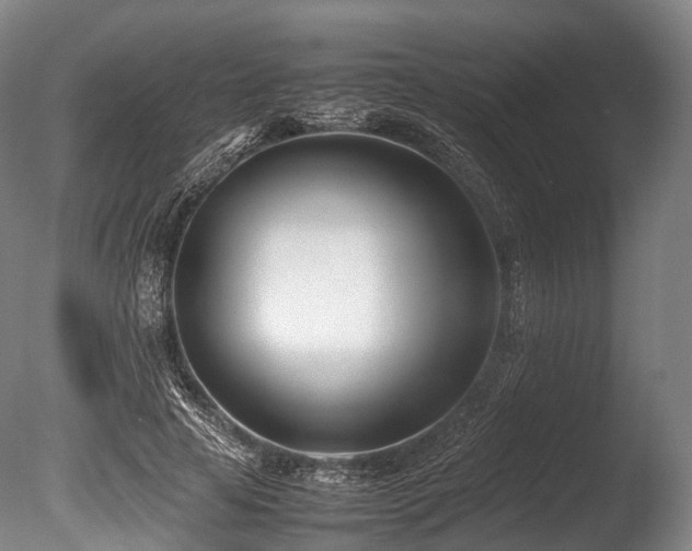X0000086110641200703231502