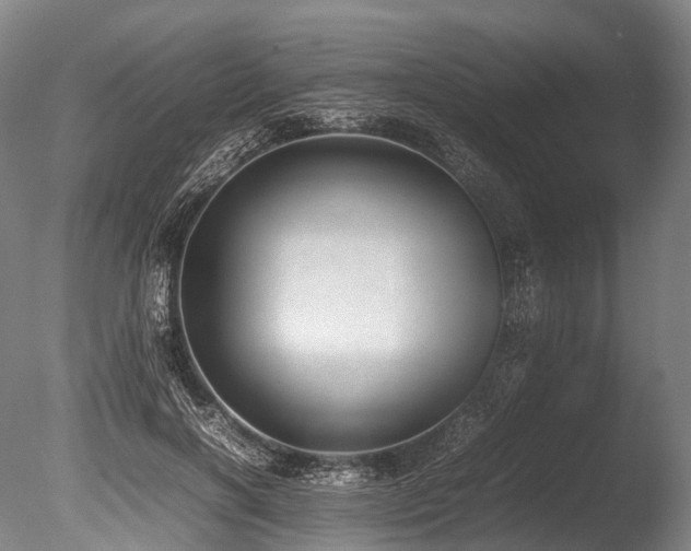 X0000086110646200703231502