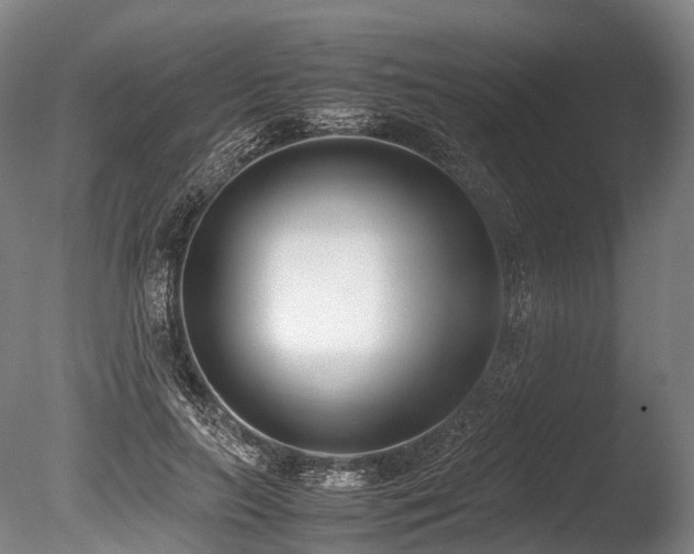 X0000086110647200703231502
