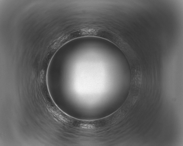 X0000086110649200703231502