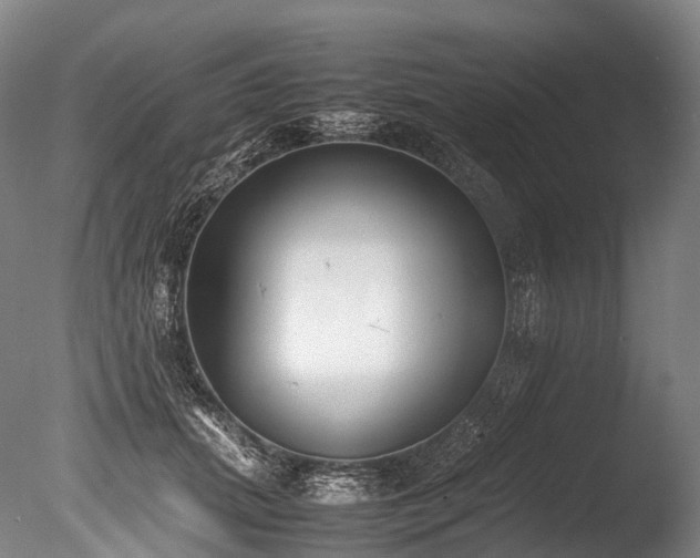 X0000086110655200703231502