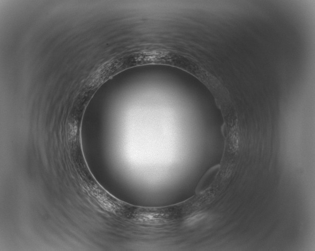 X0000086110657200703231502
