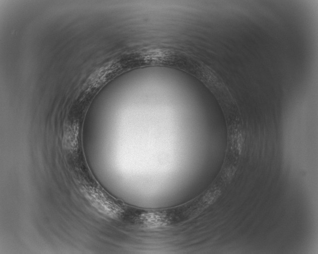 X0000086110660200703231503