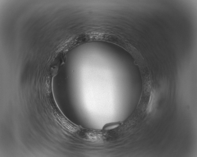 X0000086110661200703231503
