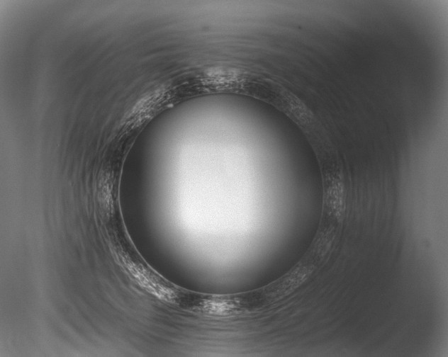 X0000086110662200703231503